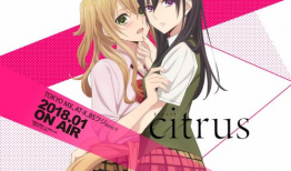 动漫百合,探寻动漫中的纯真情感世界